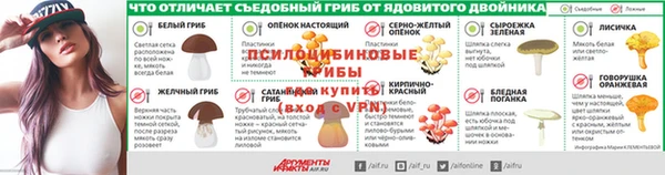 СК Алексин