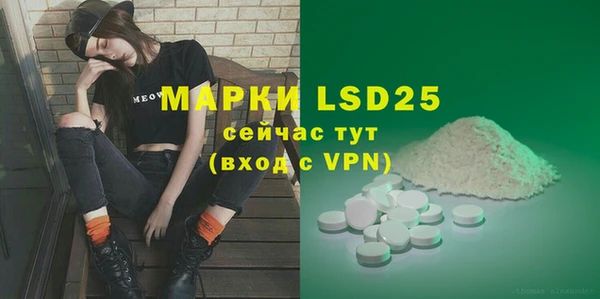 прущий лед Алзамай