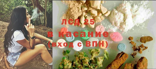 СК Алексин