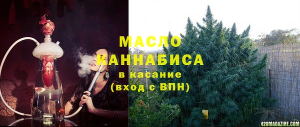 гашик Алексеевка