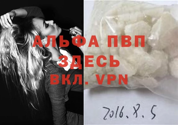 СК Алексин