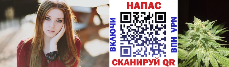 Бошки марихуана марихуана  купить наркотики цена  Вихоревка 